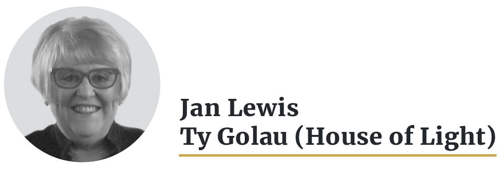 jan_lewis-community_champion-graphic