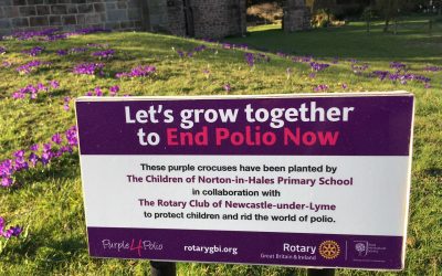 end polio