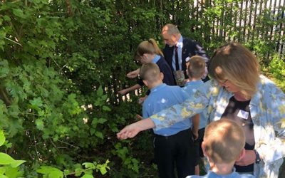 dragons den style school rotary club