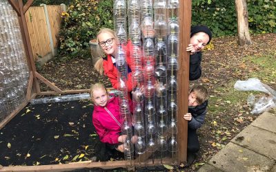 bottle greenhouse project